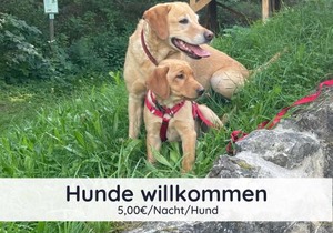 Der Fuchsbau - 3 separate Blockhäuser - ruhige Lage - 50m bis zum Wald - eingezäunter Garten
