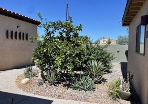 Desert Morada Casita M- 1 Bed 1 Bath Dog Friendly maximum 2-NO OTHER PETS