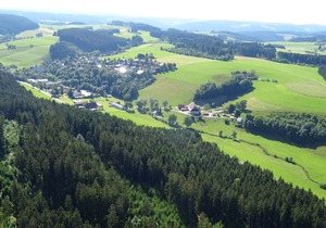 Detached and cozy holiday home with terrace in the Black Forest