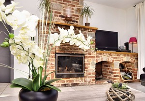 Detached natural stone house with sunny garden and terrace, modern interior