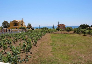 Detached holiday house at the sea, big garden, Wifi Skidi, Corfu