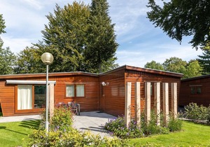 Detached wooden chalet in Harderwijk surrounded by nature
