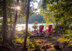 Dog-friendly home at the base of Blue Mountain
