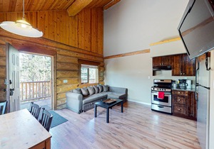 Dog-friendly lakefront wilderness resort cabin with deck, WiFi, & full kitchen