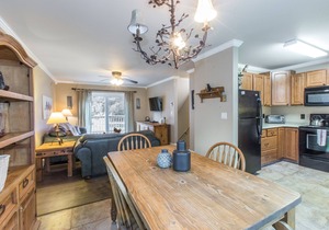 Dog Friendly-Overlooking River-Next to Ouray Hot Springs-Fiber Optic WiFi