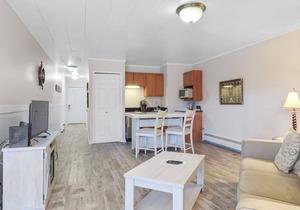 Dog Friendly | Remodeled | Downtown Charlevoix Gem | Indoor/Outdoor Pool