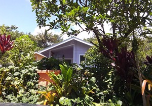 Dolphin Cottage w/ AC @ Kehena Beach, Hawaii