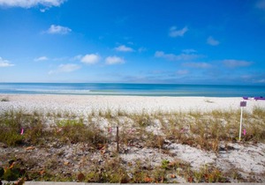 Dolphin Way A-201 - Monthly Condo