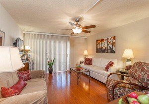Dolphin Way by IPG