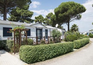 Domaine Les Mûriers