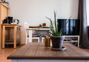 Donau (B 77) by Interhome