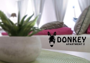 Donkey 2