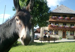 Doppelzimmer Ebnehof mit Balkon