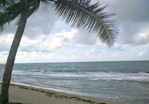 Dorado Beach Condo