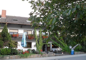 Double room - 12 - Landgasthof Brunnenwirt Zum Meenzer