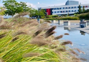 Double room 2 - AKZENT Congresshotel Hoyerswerda