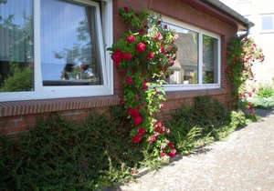 Double room 5 Haus Village - Pension "Haus Village"