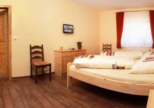 Double room 3 - Guesthouses Am Nibelungensteig
