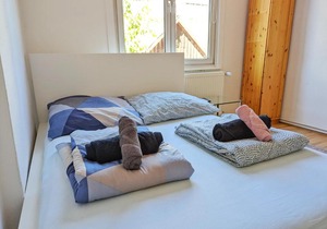 Double Room in the black Forest
