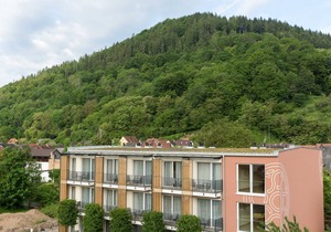 Double Room - Emich's Hotel
