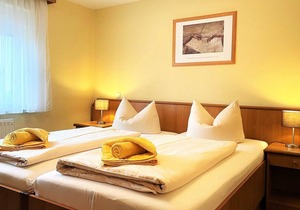 Double room Pets allowed, max. 2 persons - Gasthof & Pension "Zur Friedenseiche" (Guesthouse)
