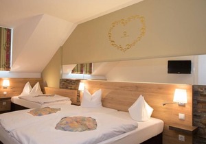 Double room with shower, WC - Hotel Dollinger