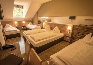 Double room with shower, WC - Hotel Dollinger