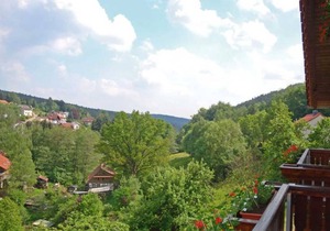 Double room without balcony 05 - Gasthaus Zum Pälterwald