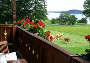 Double Standard - Landhaus Christl am See
