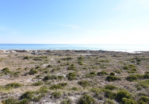 DR 2304 – Comfortable and relaxing oceanfront condo with easy beach access