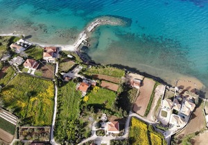 dragonas-diam-4 in Zante