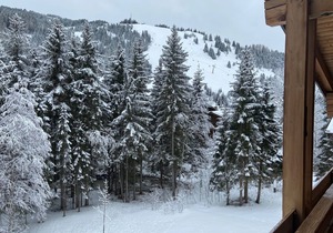 Dream apartment "WILDBACH" in the enchanting Hinterthal am Hochkönig