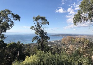 Dream Views at Arthurs Seat B & B