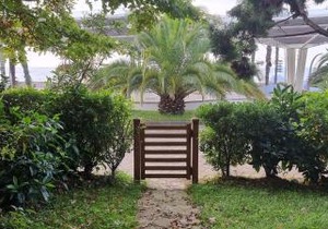 Dreamland Oasis Chakvi