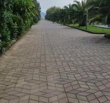 Dreamland Oasis Chakvi