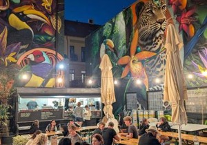 Drunken Monkey Hostel