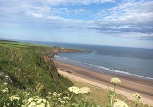Dunnottar Woods Cottage