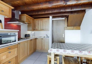 Duplex rénové avec balcon et parking, à 100m des pistes - FR-1-398-529