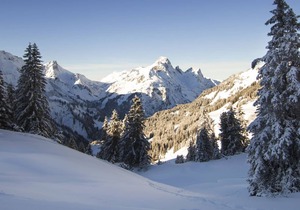 E4/30 B Premium - Appartement im Alpinresortarlberg1495 - Alpinresortarlberg1495 - B2
