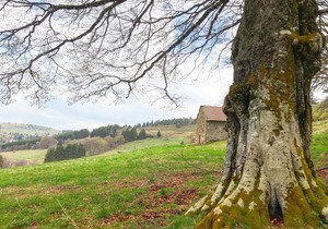 Eco Yourte Les Airelles