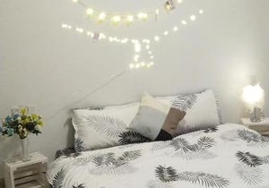 Ecopark Homestay 2pn