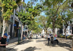 Edificio Charles 201