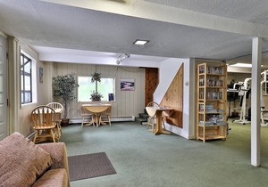 Efficiency with Sleeper Sofa only 215