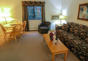 Efficiency with Sleeper Sofa only 215