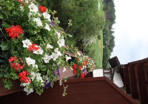 Einbettzimmer - Sporthotel Schieferle