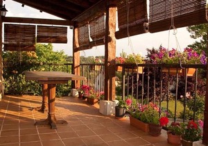 El Rincón De La Rosa 1