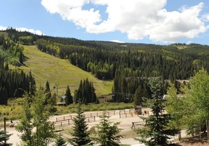 Elegant 1 Bedroom Condo with Fantastic Amenities
