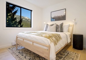 Elegant & Luxurious two level condo. Fireplace, in-suite laundry, free parkingCompleted remodeled.