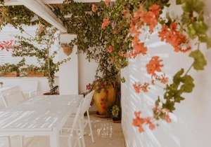 Elena's house 30