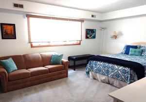 ELK RAPIDS GRAND TRAVERSE BAY CONDO